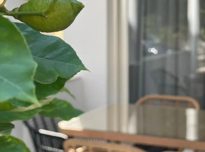 Sunrise Luxury House ペフコホリ